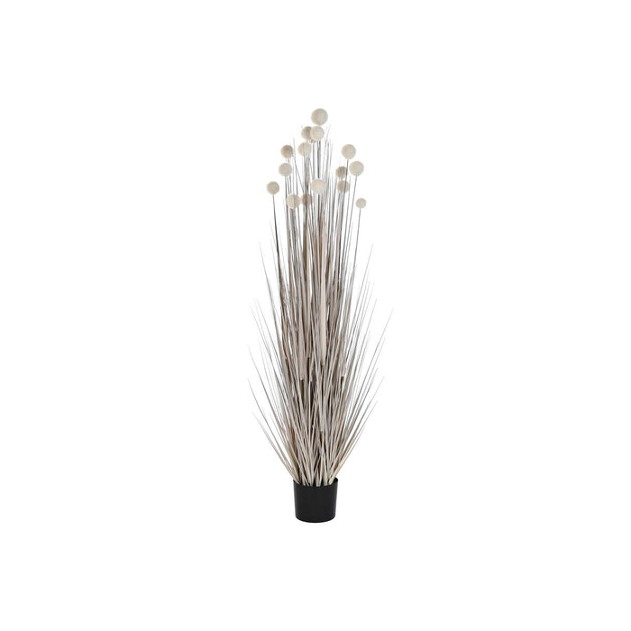 Plantă decorativă DKD Home Decor Pompoane (45 x 45 x 150 cm)