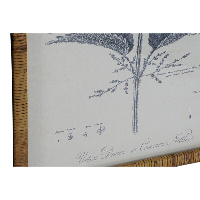 Tablou DKD Home Decor Modern Plante botanice 50 x 2,5 x 70 cm (8 Unități)