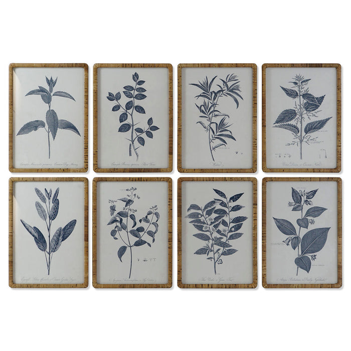 Tablou DKD Home Decor Modern Plante botanice 50 x 2,5 x 70 cm (8 Unități)