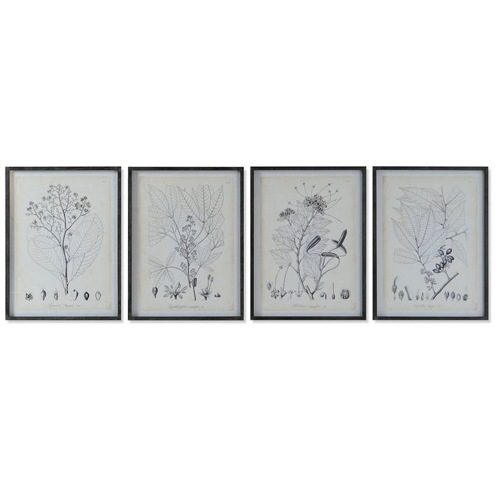Tablou DKD Home Decor Modern Plante botanice 45 x 2,5 x 60 cm (4 Unități)