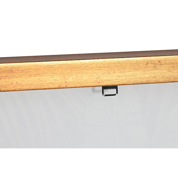 Tablou Home ESPRIT Papagal Tropical Lăcuit 50 x 3,5 x 70 cm (2 Unități)