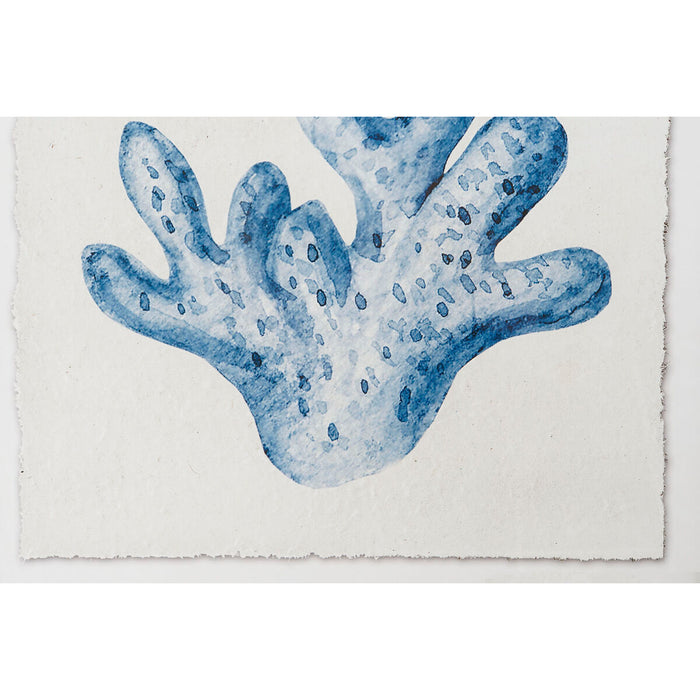 Tablou Home ESPRIT Coral Mediterană 50 x 2,5 x 50 cm (4 Unități)