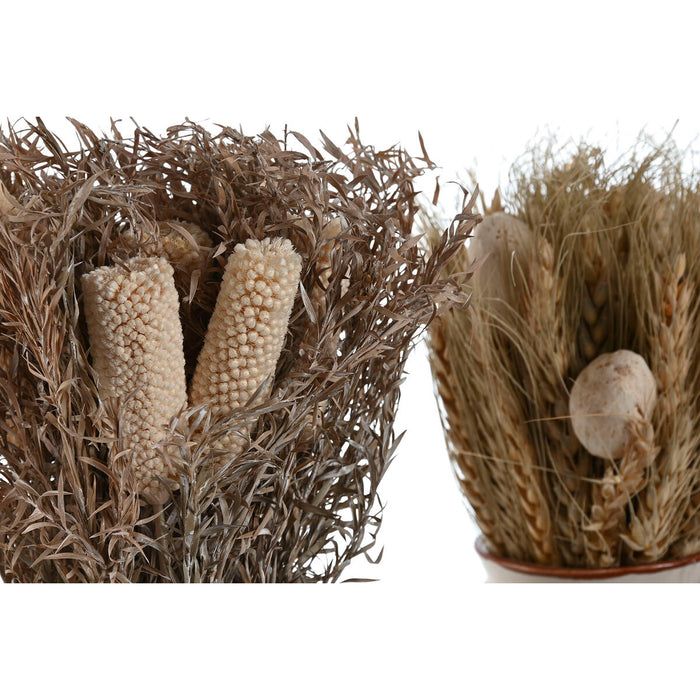 Plantă decorativă Home ESPRIT Floare 13 x 13 x 25 cm (2 Unități) (12 Unități)