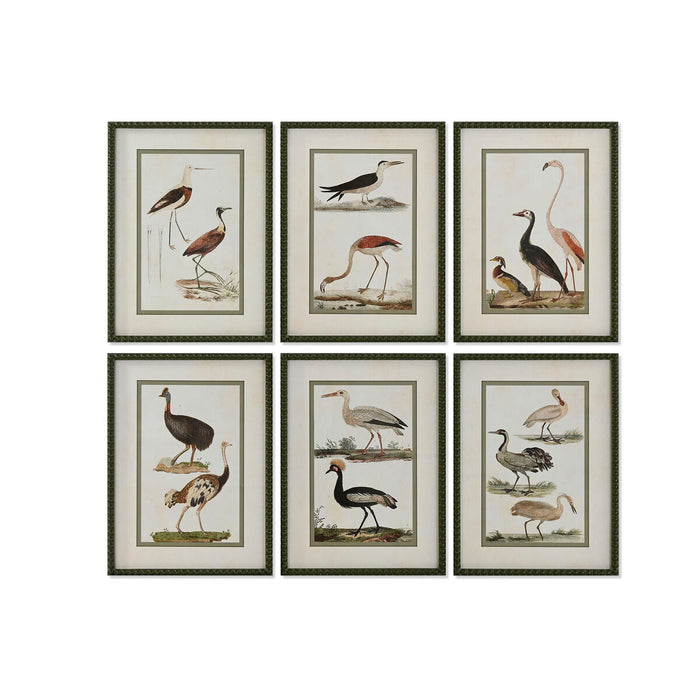Tablou Home ESPRIT Păsări Cottage 40 x 2,5 x 54 cm (6 Unități)