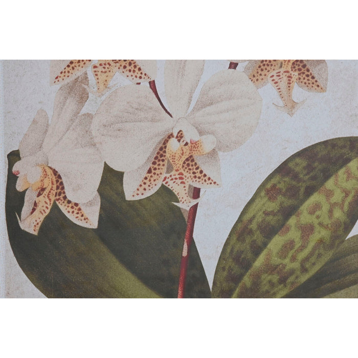 Tablou Home ESPRIT Tropical Orhidee 50 x 2,5 x 70 cm (2 Unități)