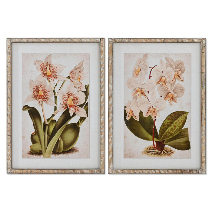 Tablou Home ESPRIT Tropical Orhidee 50 x 2,5 x 70 cm (2 Unități)