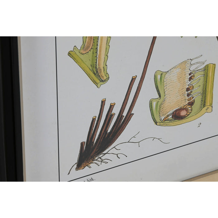 Tablou Home ESPRIT Modern Ferigă 50 x 2,5 x 65 cm (6 Unități)