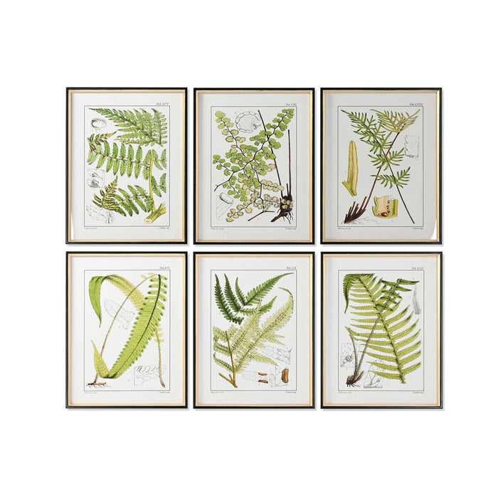 Tablou Home ESPRIT Modern Ferigă 50 x 2,5 x 65 cm (6 Unități)