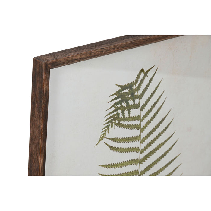 Tablou Home ESPRIT Ferigă Cottage 45 x 2,5 x 70 cm (4 Unități)