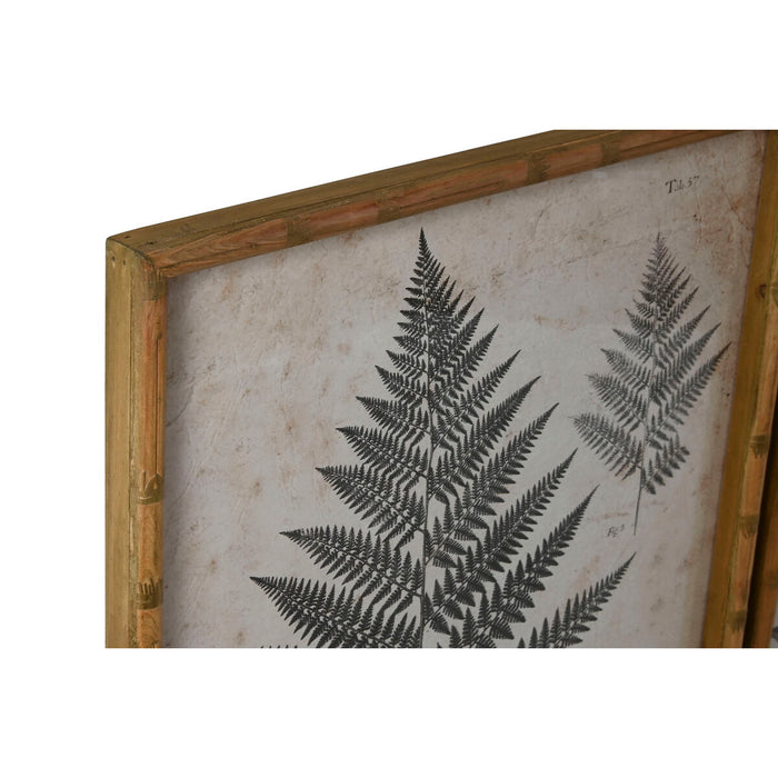 Tablou Home ESPRIT Ferigă Cottage 50 x 2,5 x 70 cm (4 Unități)