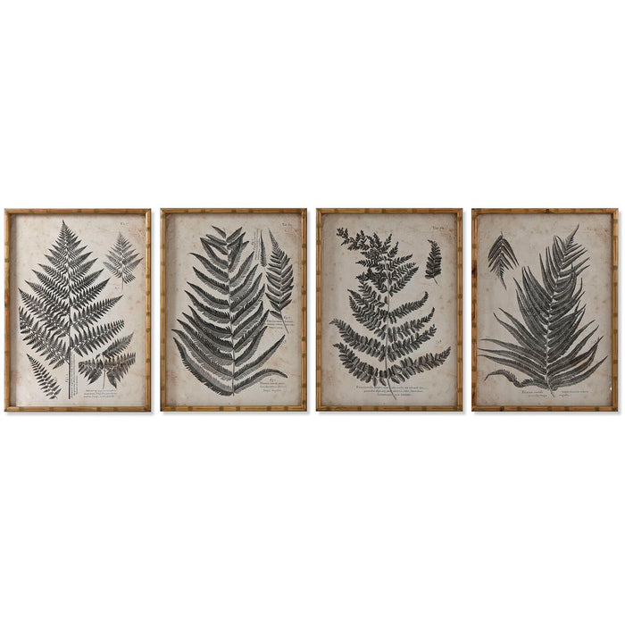 Tablou Home ESPRIT Ferigă Cottage 50 x 2,5 x 70 cm (4 Unități)