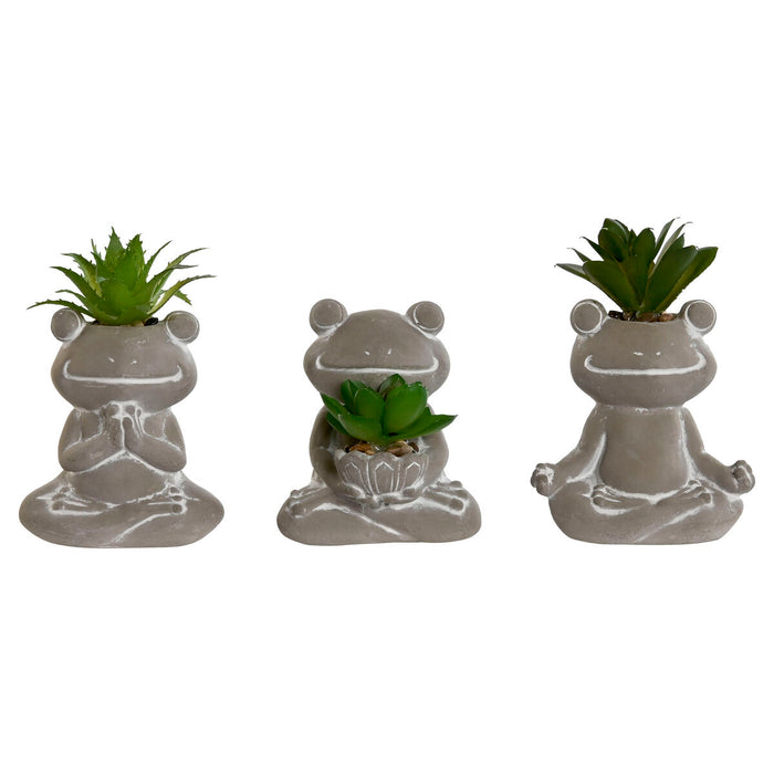 Plantă decorativă Home ESPRIT Polietilenă Цимент Broască 7,5 x 5 x 11 cm (3 Unități)