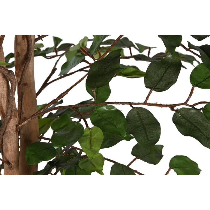 Copac Home ESPRIT Polietilenă Fig 100 x 100 x 210 cm