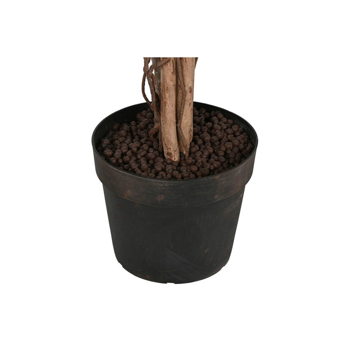 Copac Home ESPRIT Polietilenă Fig 100 x 100 x 210 cm