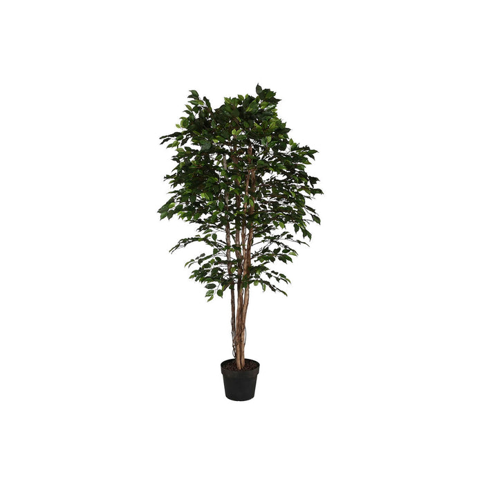 Copac Home ESPRIT Polietilenă Fig 100 x 100 x 210 cm