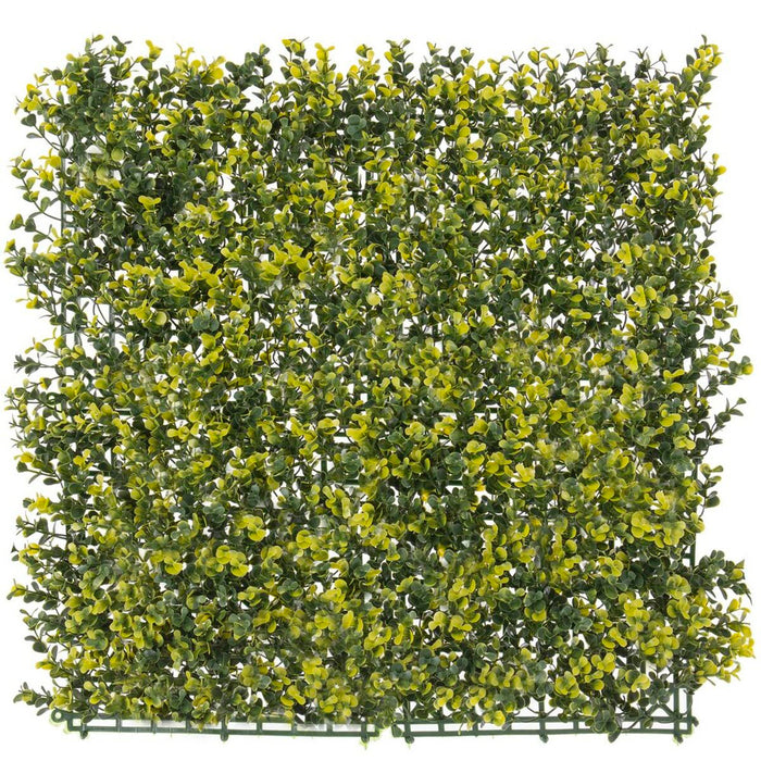 Gard   50 x 50 x 2 cm
