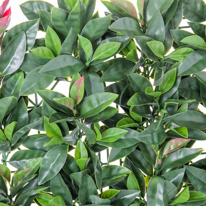Gard   Laurel 50 x 50 x 2 cm
