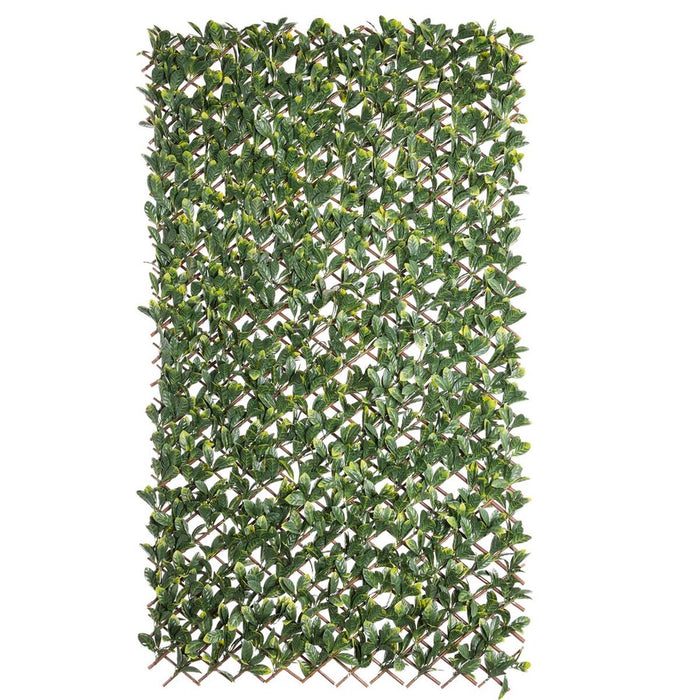 Rețea Natural Laurel răchită Bambus 2 x 200 x 100 cm