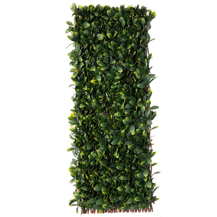 Rețea Natural Laurel răchită Bambus 2 x 200 x 100 cm