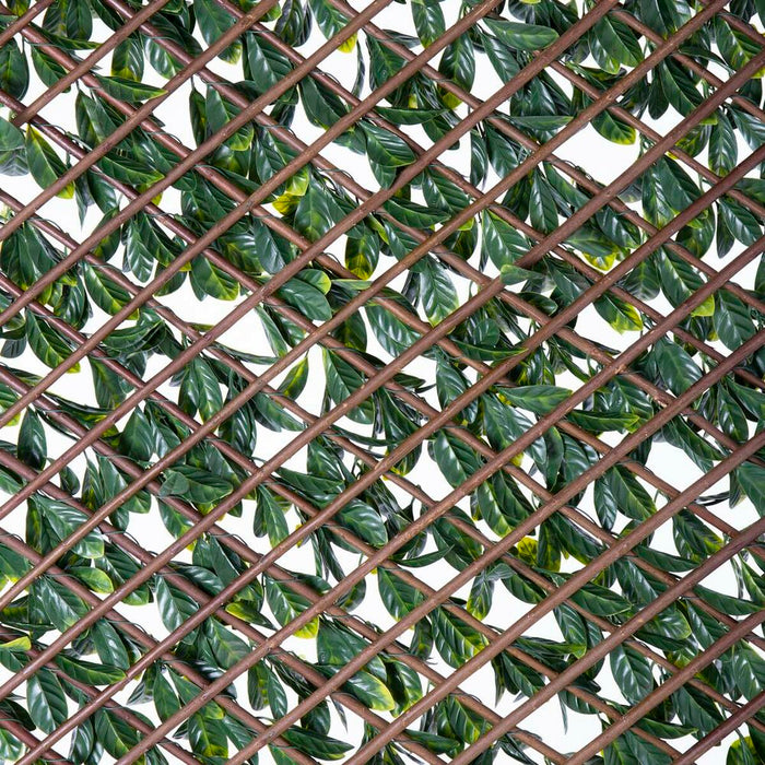Rețea Natural Laurel răchită Bambus 2 x 200 x 100 cm