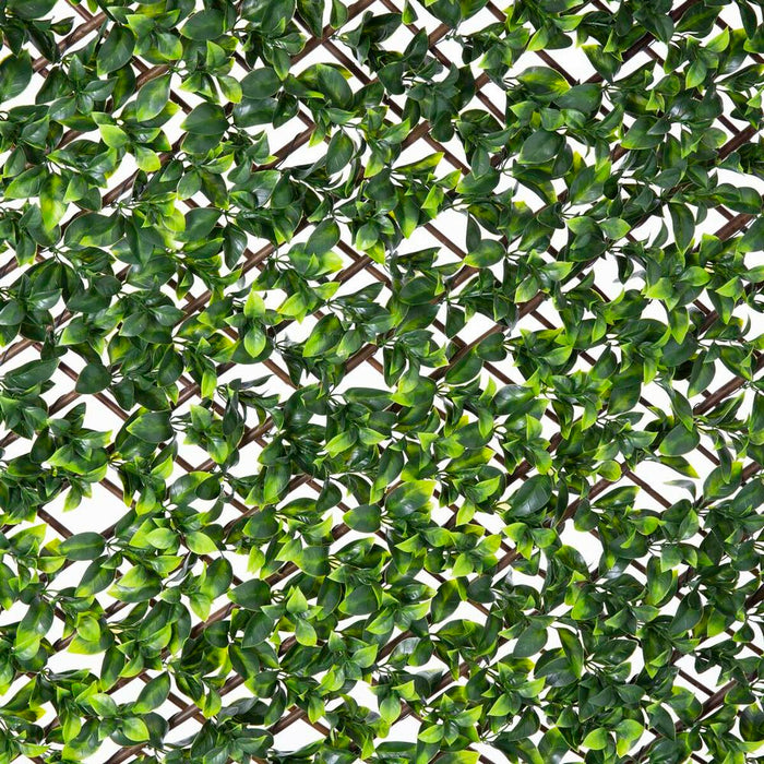 Rețea Natural Iederă răchită Bambus 2 x 200 x 100 cm