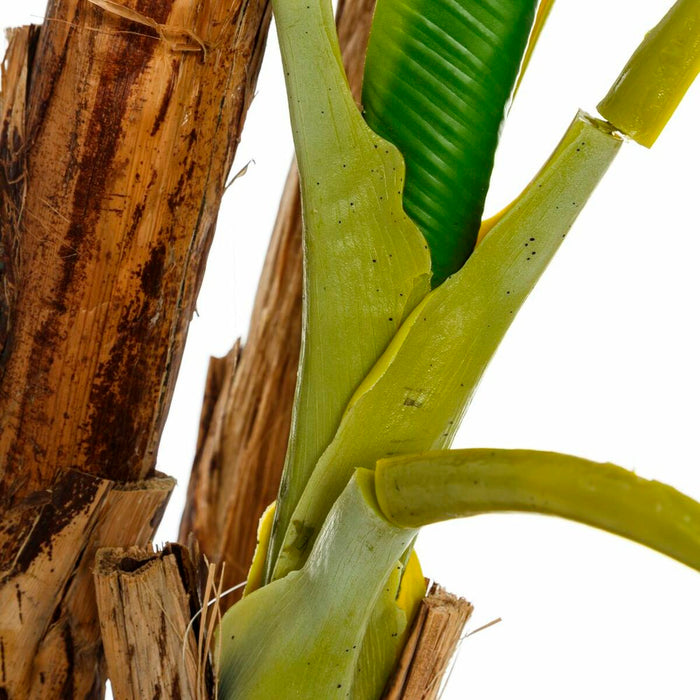 Plantă decorativă 103 x 95 x 200 cm Verde PVC Banană