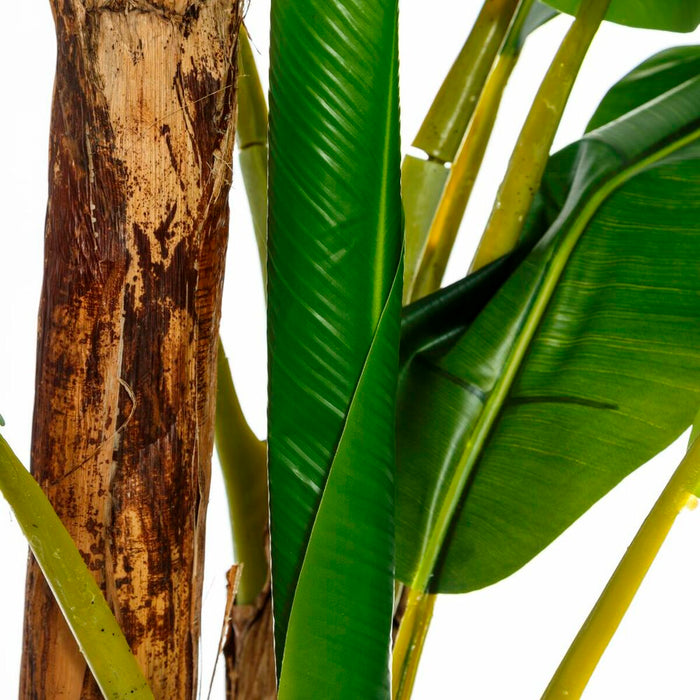 Plantă decorativă 103 x 95 x 200 cm Verde PVC Banană