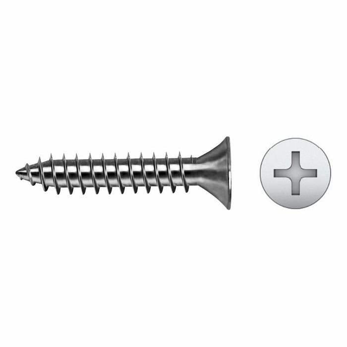 Cutie cu șuruburi CELO 5,5 x 25 mm Șurub placă metalică 250 Unități Placat cu zinc