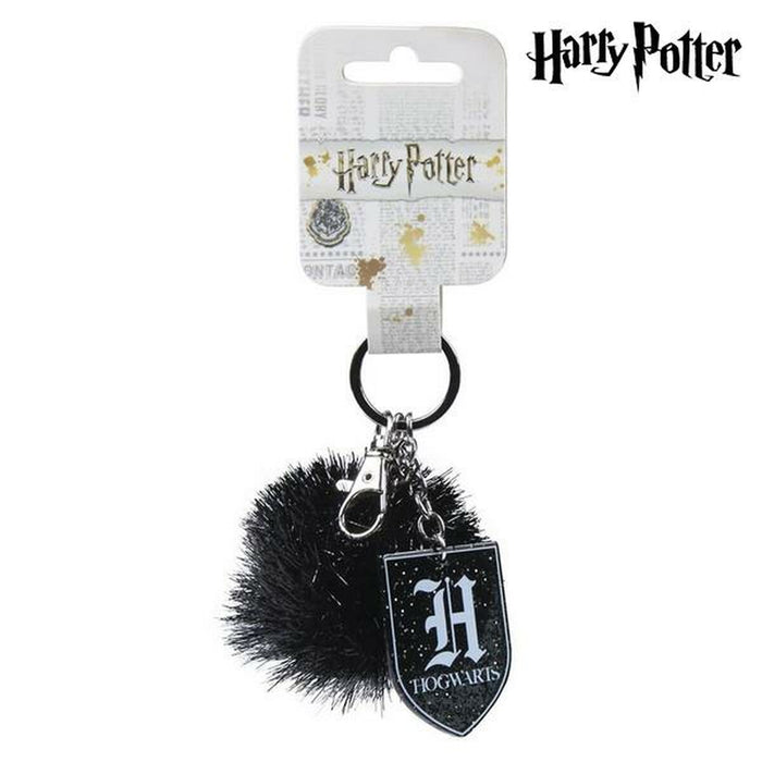 Breloc Harry Potter 75100