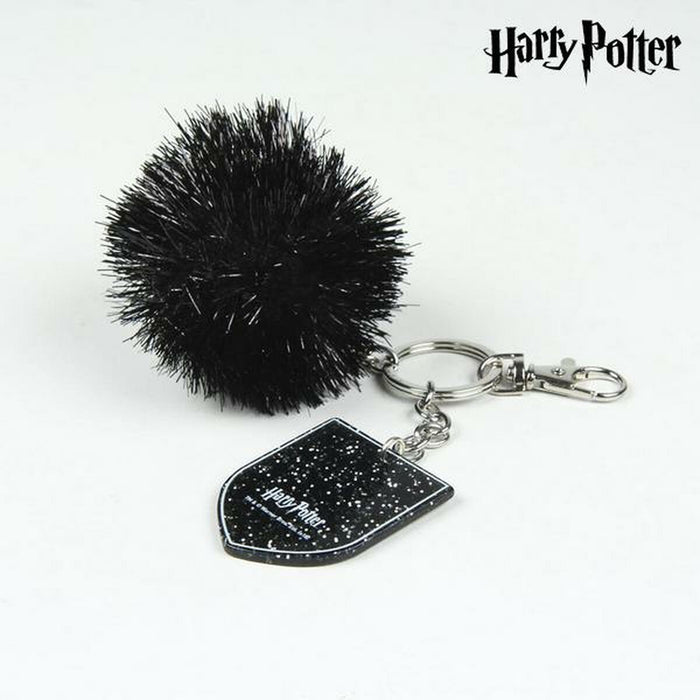 Breloc Harry Potter 75100