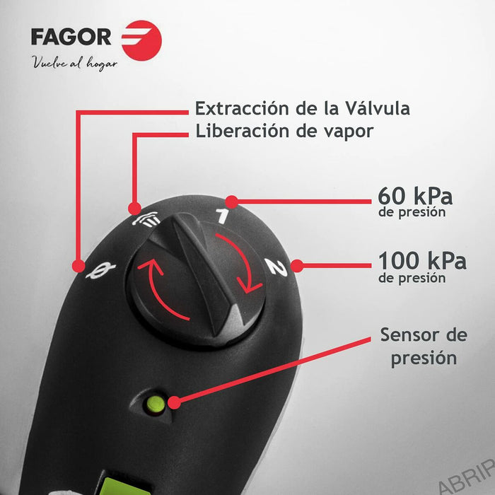 Set de Oale sub Presiune Fagor Oțel inoxidabil 10 L 2 Piese