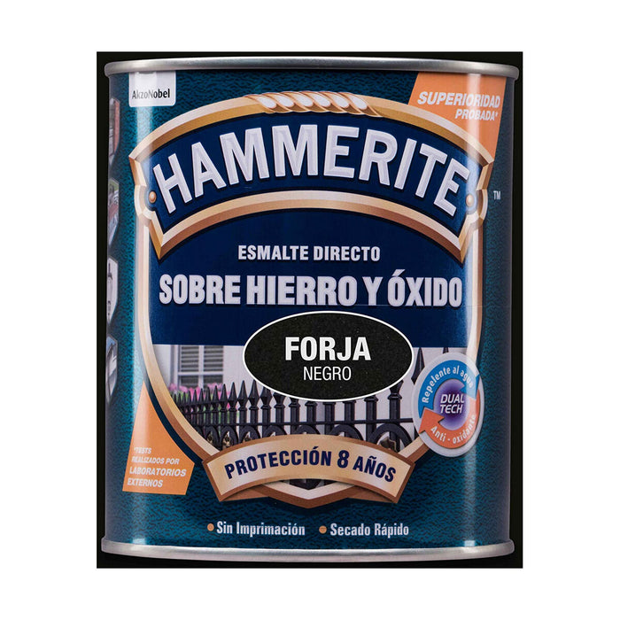 Lac AkzoNobel 5093196 750 ml Lac de finisare Negru Mat