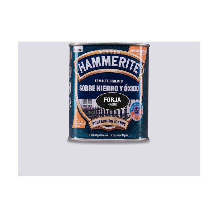 Lac AkzoNobel 5093196 750 ml Lac de finisare Negru Mat