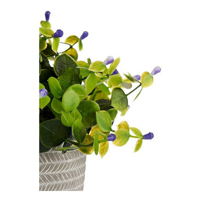 Plantă decorativă Liliachiu Květiny Gri Mov Verde Plastic