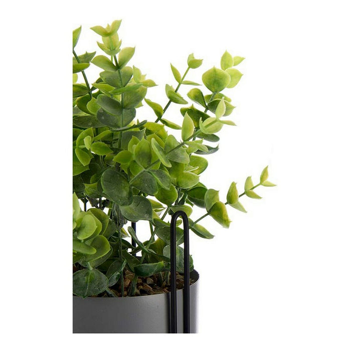 Plantă decorativă Gri Eucalipt Cu suport Metal Plastic (13 x 40 x 13 cm)