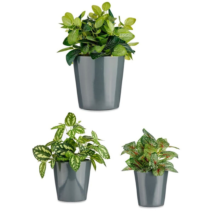 Set de ghivece Ø 14 cm Ø 22 cm Ø 17 cm Cónica 3 Piese Antracit