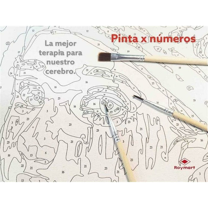 Set de pictură pe numere Alex Bog Descent to Lake di Iseo 40 x 50 cm