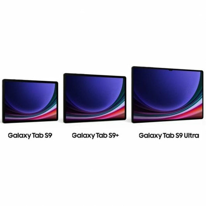 Tabletă Samsung Galaxy Tab S9 11" 256 GB Gri