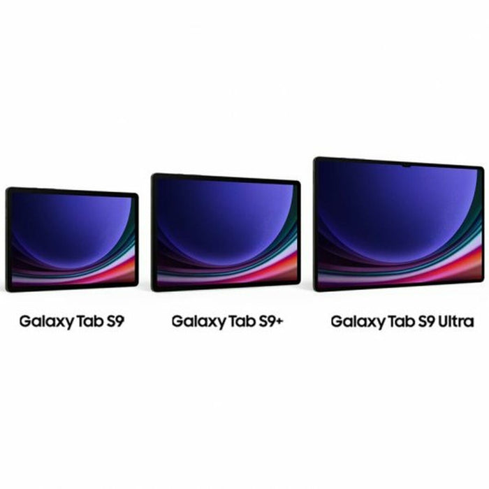 Tabletă Samsung Galaxy Tab S9+ 5G 12,4" Gri