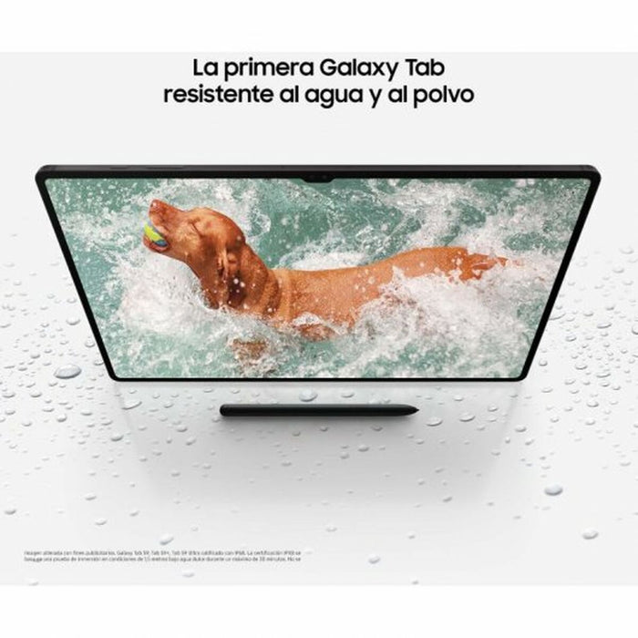 Tabletă Samsung Galaxy Tab S9+ 5G 12,4" Gri