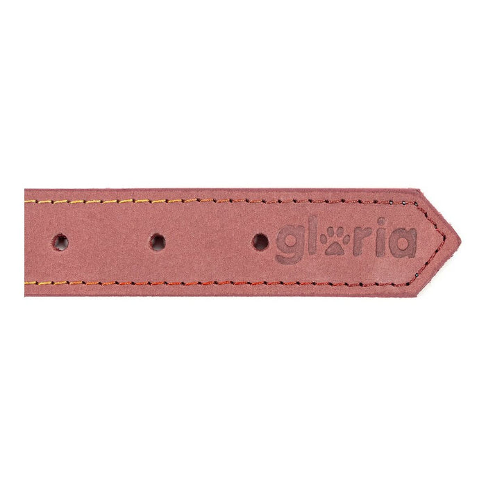 Zgardă pentru câini Gloria Oasis Roz (60 x 3 cm)