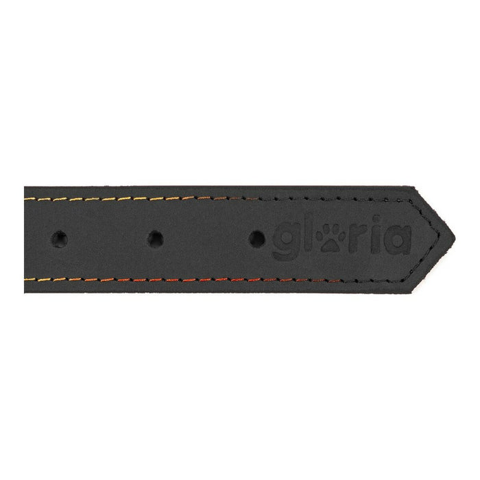 Zgardă pentru câini Gloria Oasis Negru (65 x 3 cm)