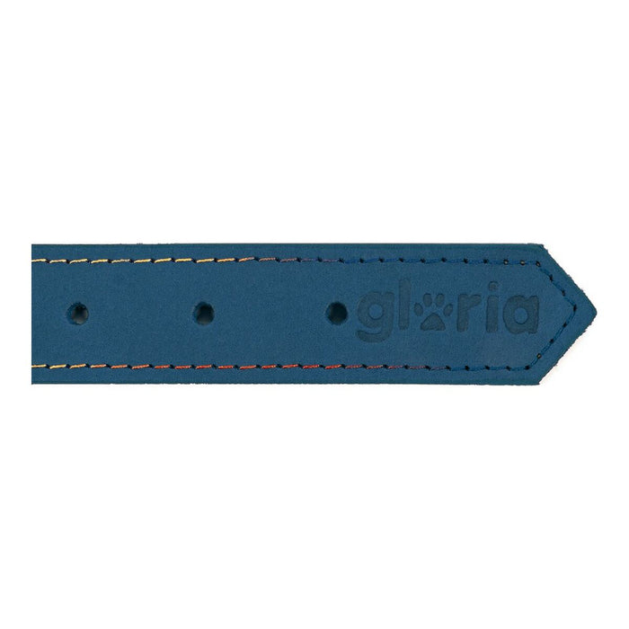 Zgardă pentru câini Gloria Oasis Albastru (70 x 3 cm)