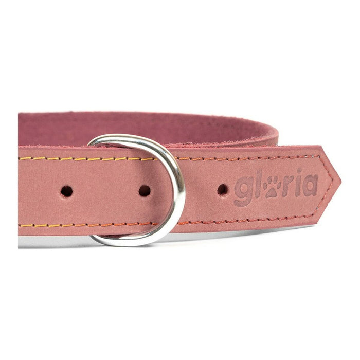 Zgardă pentru câini Gloria Oasis Roz (70 x 3 cm)
