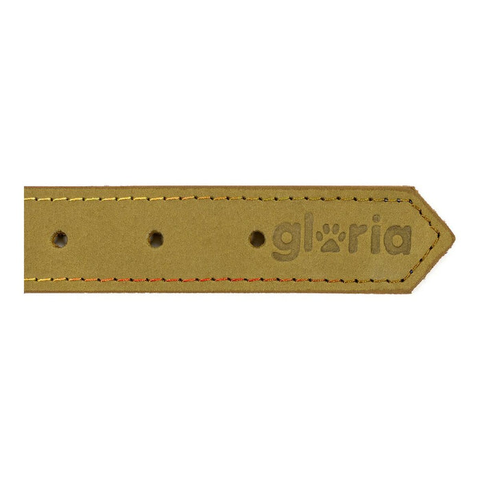 Zgardă pentru câini Gloria Oasis Verde (70 x 3 cm)
