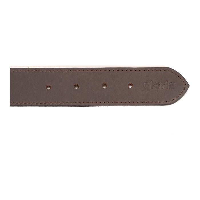 Zgardă pentru câini Gloria Maro 70 cm (70 x 4 cm)