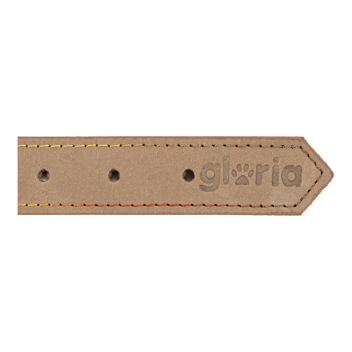 Zgardă pentru câini Gloria Oasis Alb (1,5 x 40 cm)
