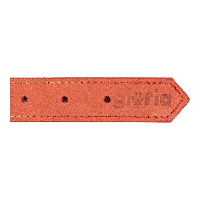Zgardă pentru câini Gloria Oasis Roșu (1,5 x 40 cm)