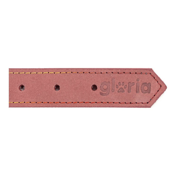 Zgardă pentru câini Gloria Oasis Roz (1,5 x 40 cm)