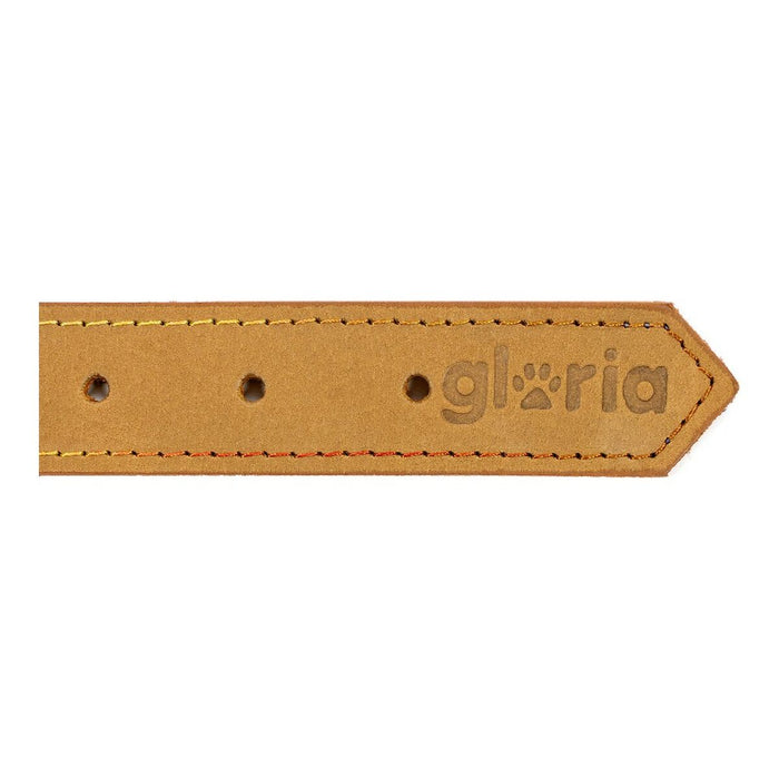 Zgardă pentru câini Gloria Oasis Galben (45 x 1,8 cm)